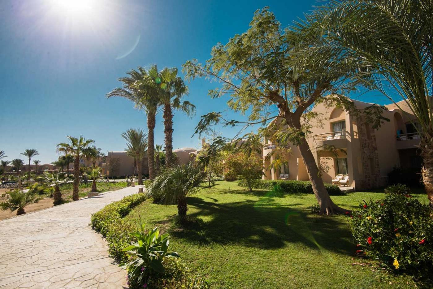 Shams Alam Beach Resort Abū Ghuşūn Buitenkant foto