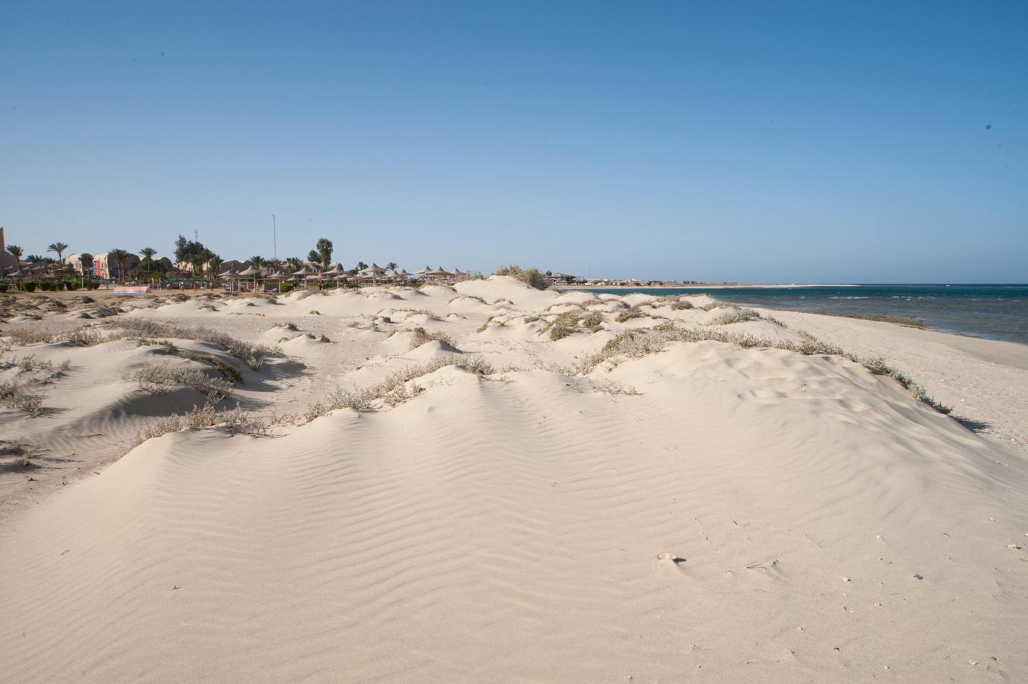 Shams Alam Beach Resort Abū Ghuşūn Buitenkant foto