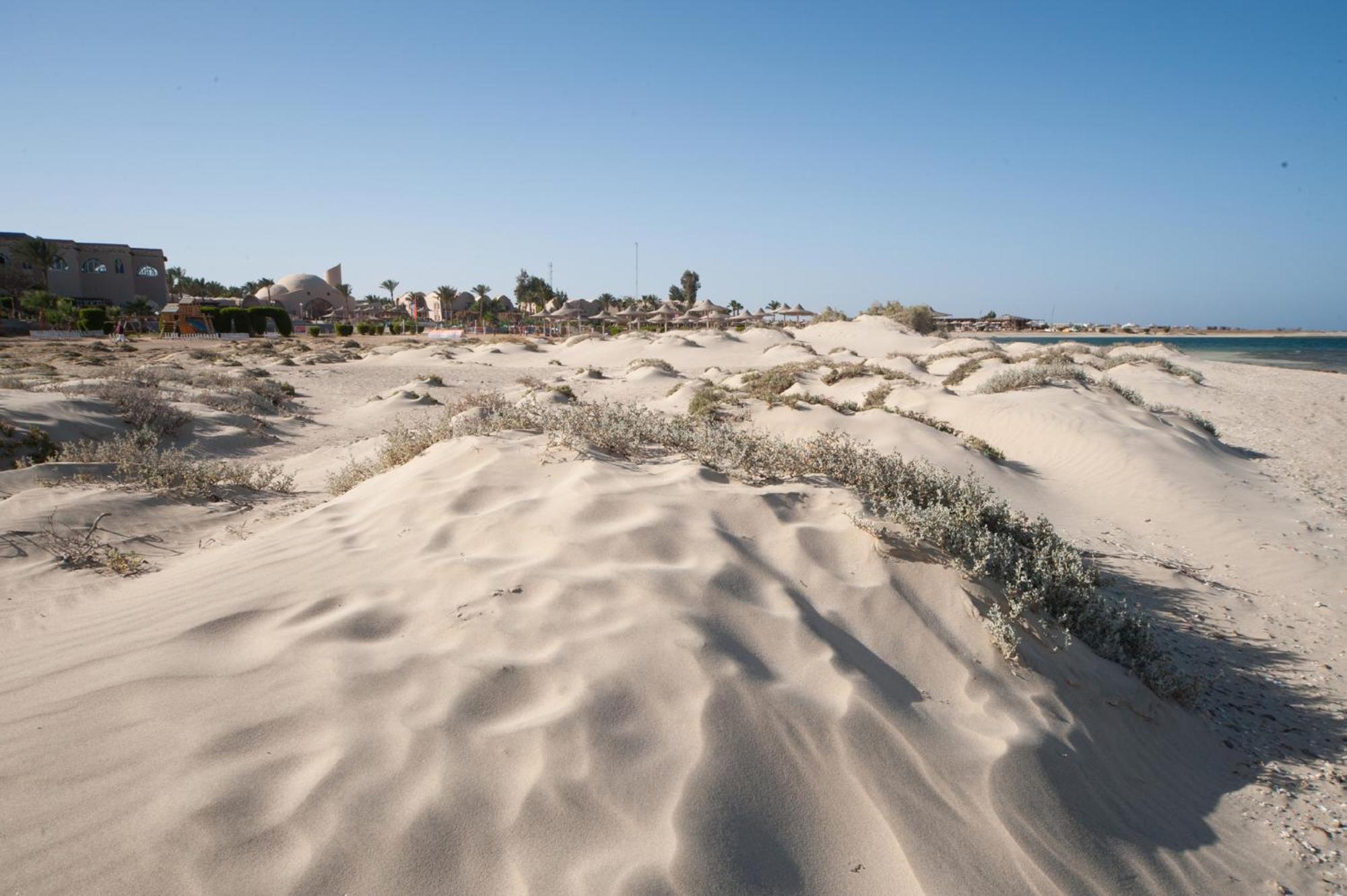 Shams Alam Beach Resort Abū Ghuşūn Buitenkant foto