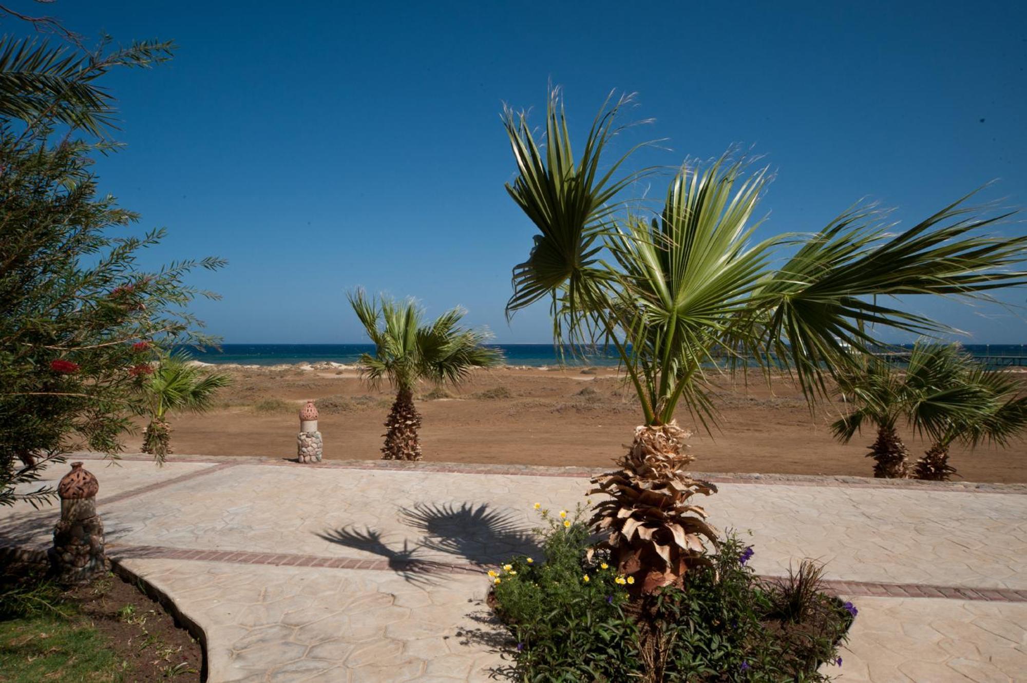 Shams Alam Beach Resort Abū Ghuşūn Buitenkant foto