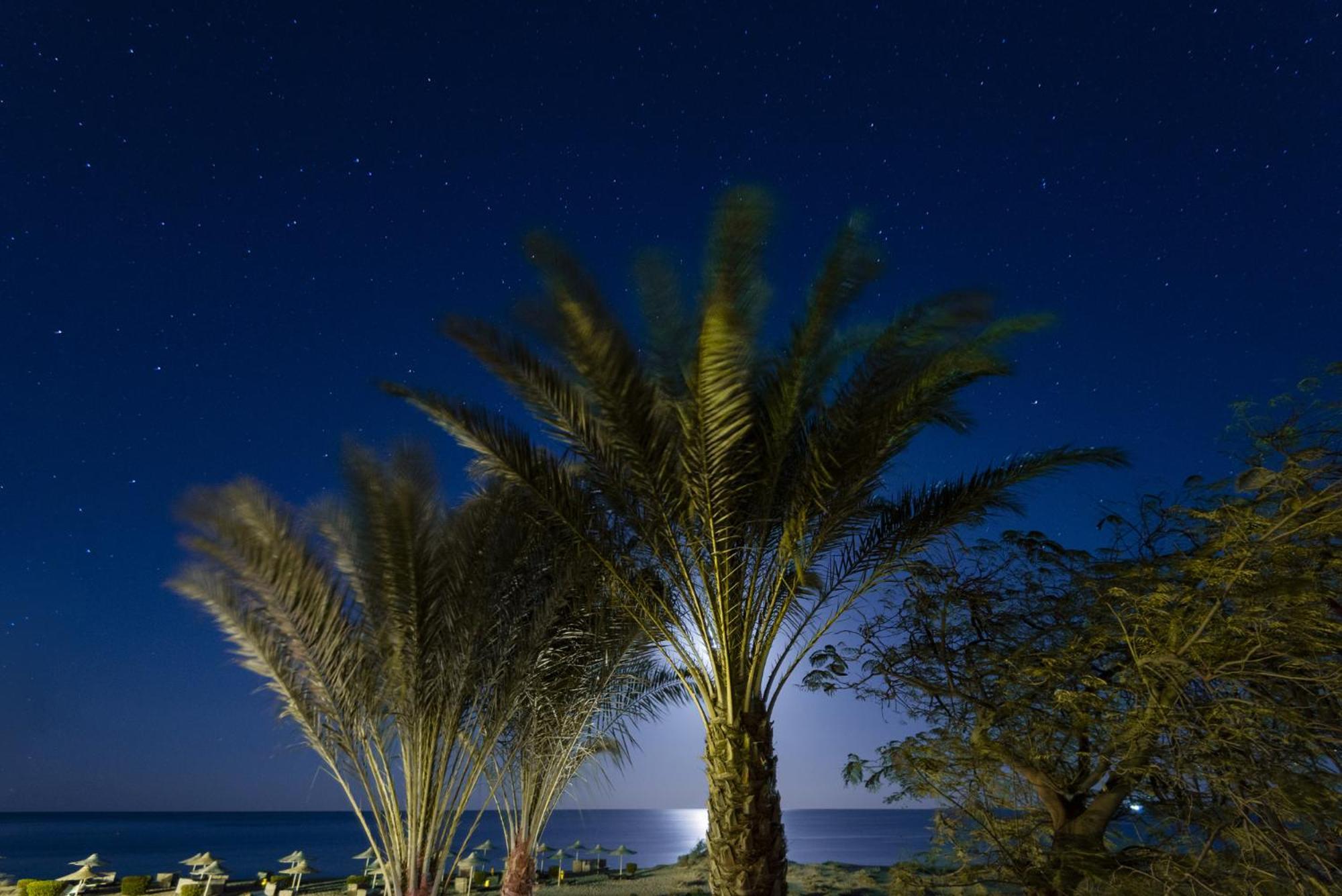 Shams Alam Beach Resort Abū Ghuşūn Buitenkant foto